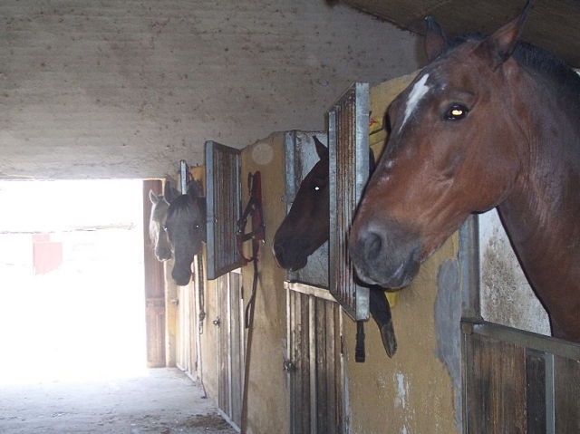 rutas a caballp.jpg